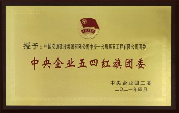 中央企業五四紅旗團委