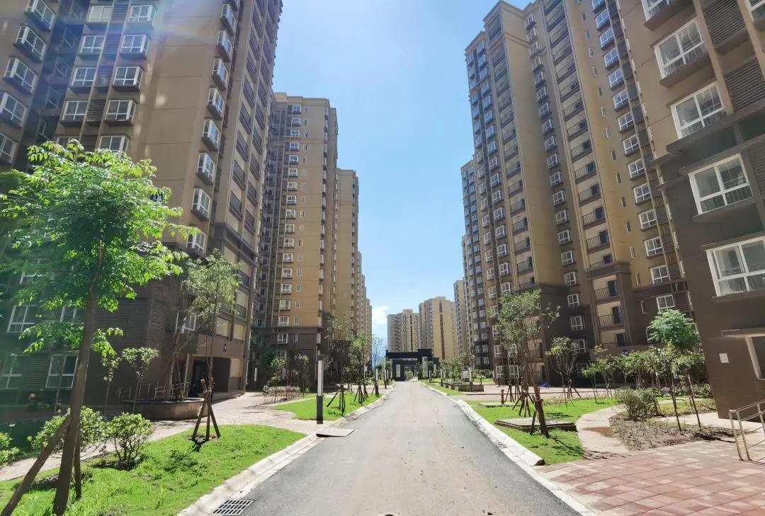 1591575579806381.jpg 1591575579806381.jpg